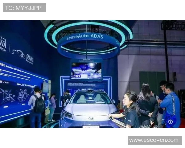 武汉排球队挑战赛特别报道：从传统到创新的转型之路探索与展望