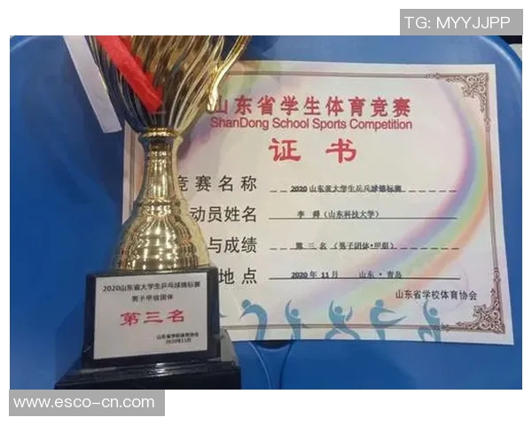 乒乓球心理素质榜单揭晓深圳乒乓球队荣获第四名佳绩 乒乓球心理素质榜单揭晓深圳乒乓球队荣获第四名佳绩