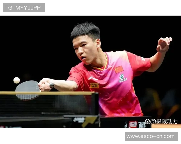 南京乒乓球队在锦标赛中的耐力表现分析与启示