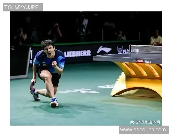 武汉排球队以63分领跑大满贯积分榜展现强劲实力