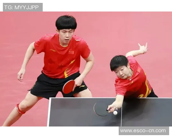 杭州世锦赛回顾：乒乓球队技术表现的亮点与不足分析