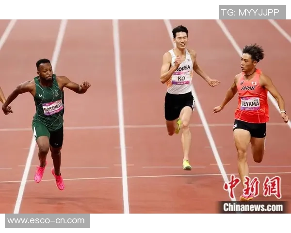 杭州亚运会乒乓球队强势领跑积分榜以97分稳居第一