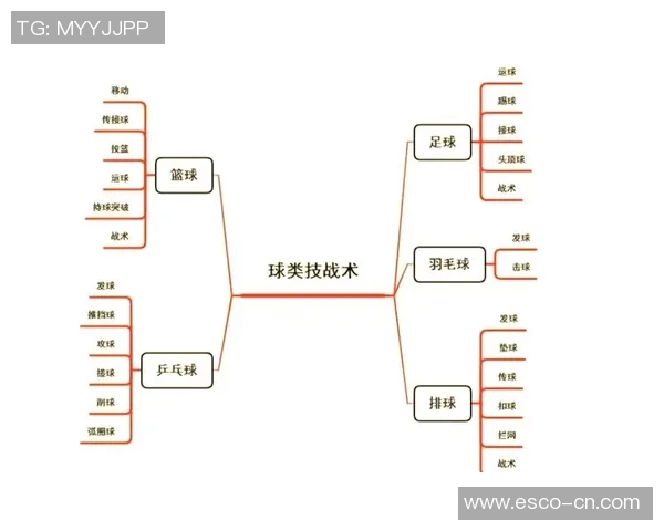 武汉排球队战术分析与表现评估全面解读