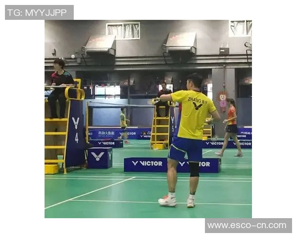 深圳羽毛球队在全国团队协作排行榜中荣获第九名展现出色团队精神与实力