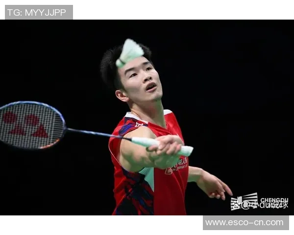 重庆羽毛球队战术实力强劲荣登全国第九名引发关注