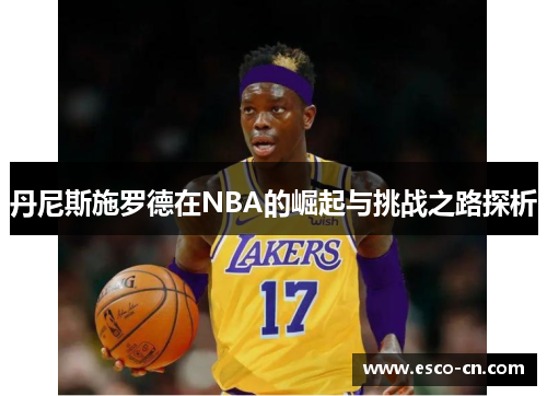 丹尼斯施罗德在NBA的崛起与挑战之路探析