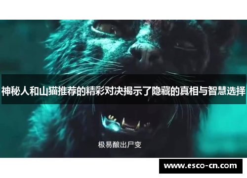 神秘人和山猫推荐的精彩对决揭示了隐藏的真相与智慧选择