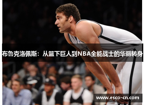 布鲁克洛佩斯：从篮下巨人到NBA全能战士的华丽转身